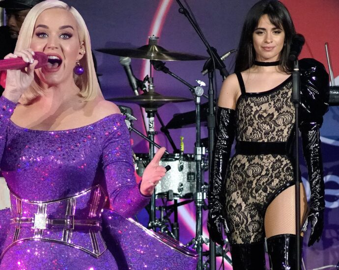 Hollywood Singer Katy Perry And Camila Cabello Came Forward To Help India