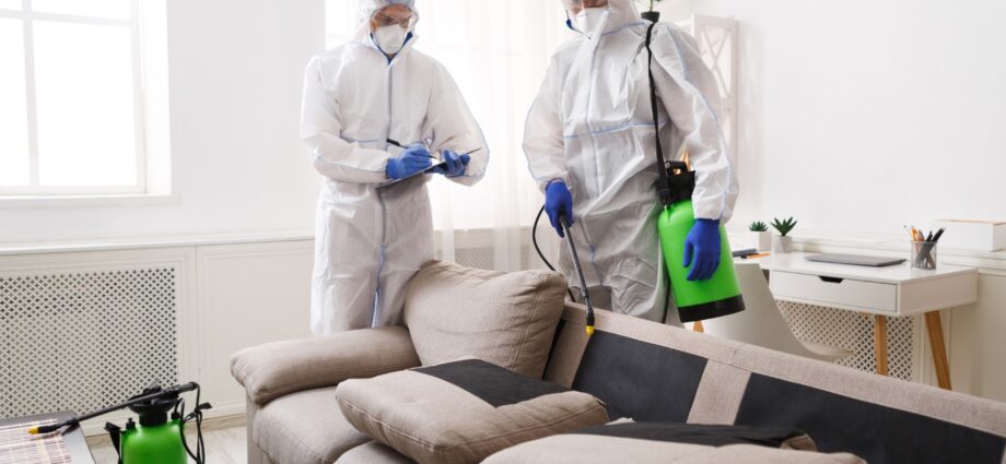 Avail House Disinfection Services in Singapore