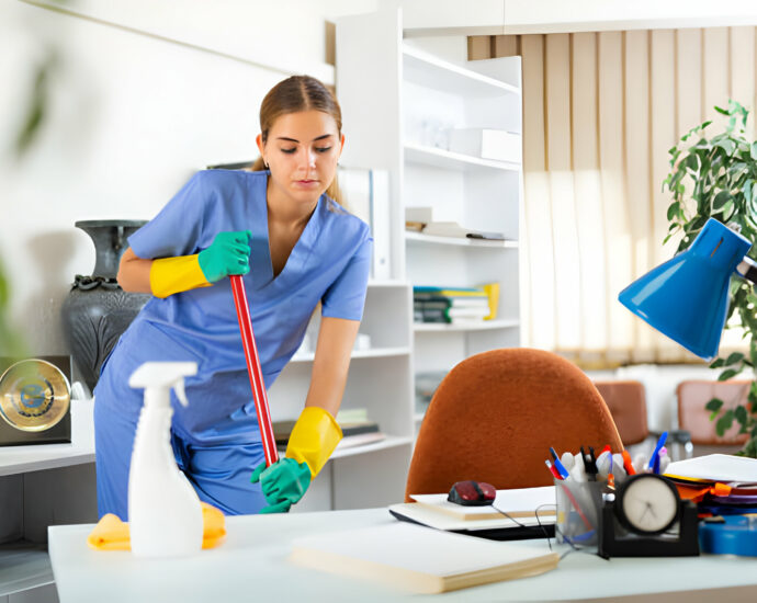 cleaning services in JB
